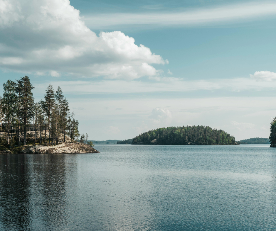 Definite and Indefinite Forms in Swedish Nouns